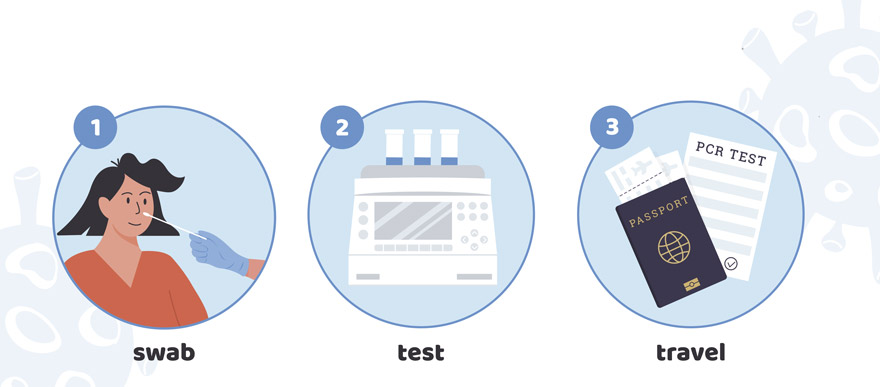 Steps PCR Test